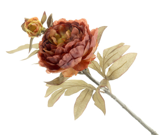 Peony - Burnt Orange/Brown (1 flower & 1 bud, 64cm long)