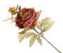 Peony - Burnt Orange/Brown (1 flower & 1 bud, 64cm long)