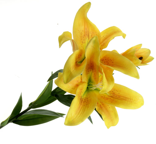 Real Touch Tiger Lily - Yellow (3 heads, 90cm long)