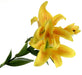 Real Touch Tiger Lily - Yellow (3 heads, 90cm long)