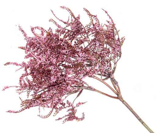 Limonium Bush - Pink (45cm long)