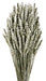 Wheat - Silver (60cm tall)