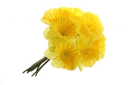 Daffodil Bunch - Yellow (9 heads, 33cm long)