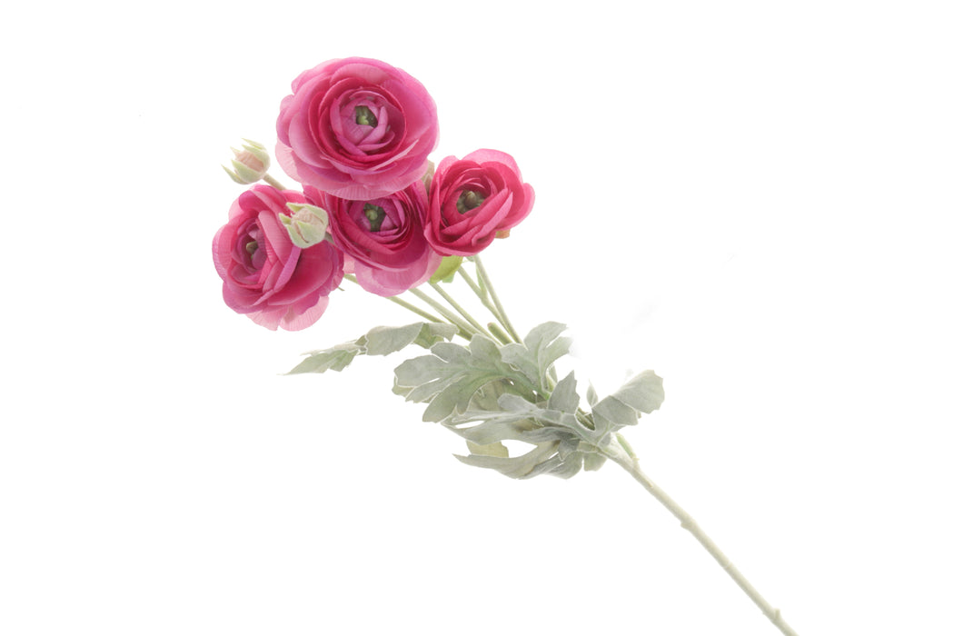 Mini Ranunculus Stem - Hot Pink (6 heads, 67cm long)