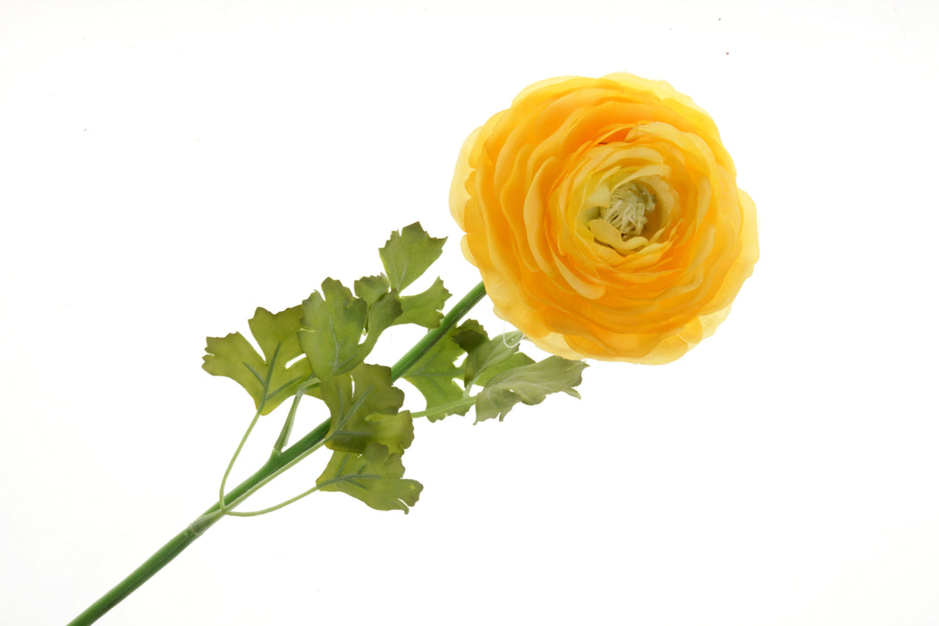 Single Ranunculus - Yellow (60cm long)