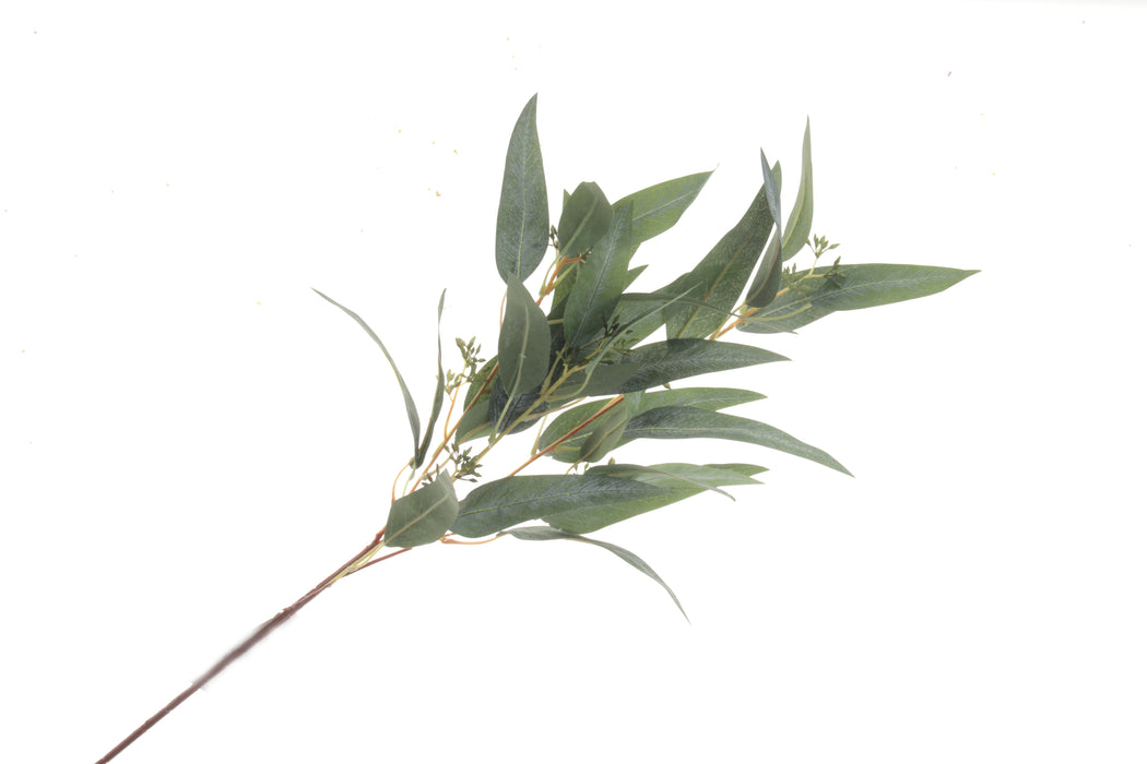 Eucalyptus Nicolii Spray - Green (84cm long)