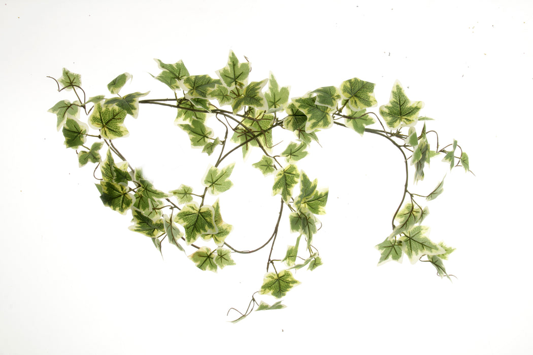 Ivy Garland - Variegated (150cm Long)