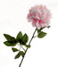 Large Peony - Pink (70cm long)