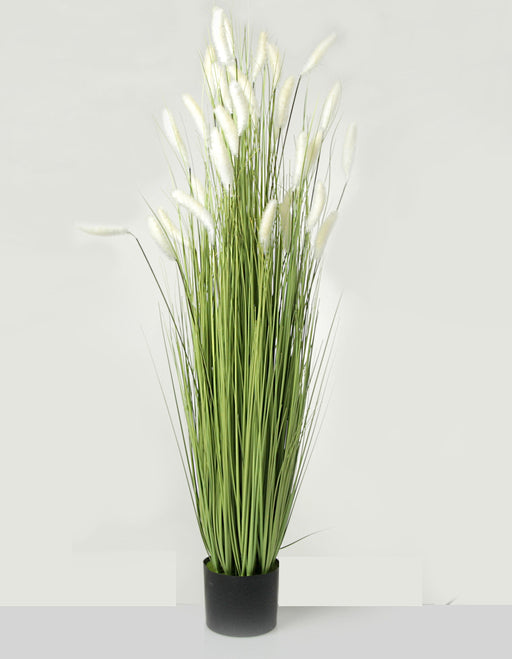 Artificial Pampas Bush - White/Green (145cm tall)