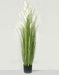 Artificial Pampas Bush - White/Green (145cm tall)