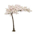 Canopy Cherry Blossom Tree - Pink/White (3.2m tall)