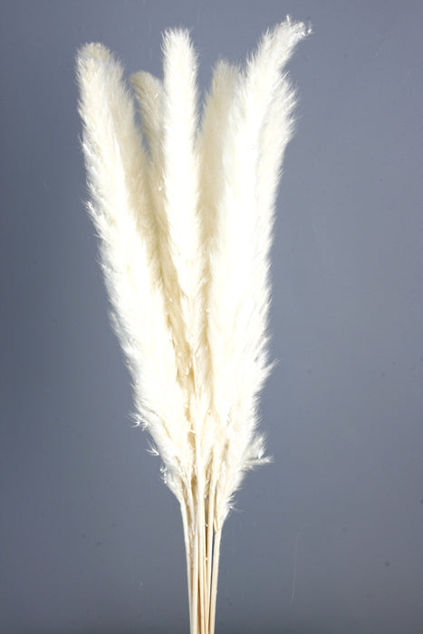 Pluma Decorativa - White (50/60cm long, approx. 20pcs per pk)