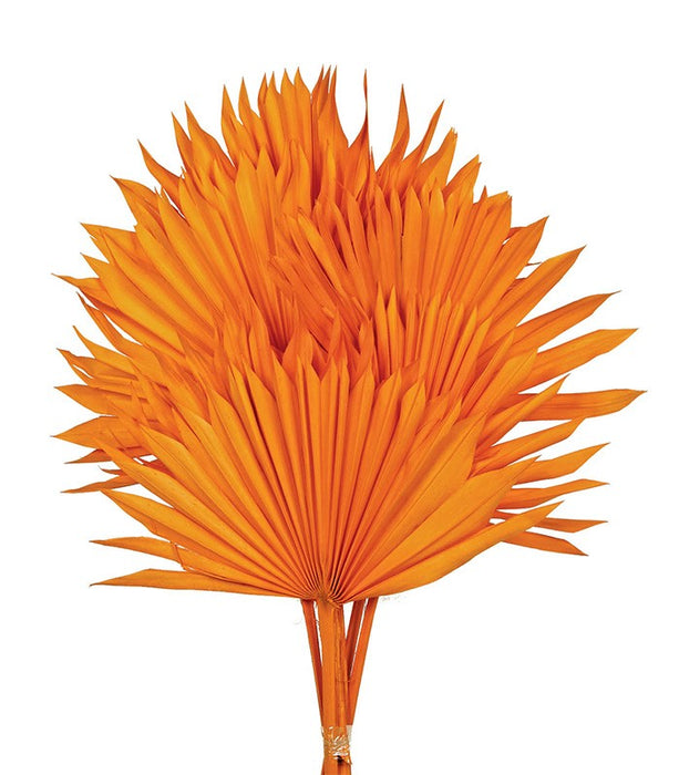 Sun Palm - Orange (6pcs per pk)