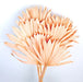 Sun Palm - Peach (6pcs per pk)