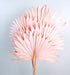 Sun Palm - Light Pink (6pcs per pk)