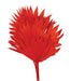 Sun Palm - Red (6pcs per pk)