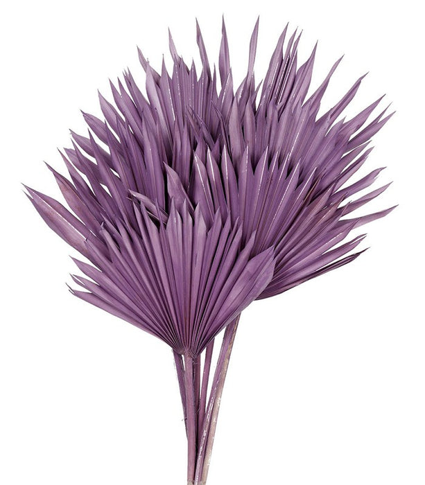 Sun Palm - Purple (6pcs per pk)