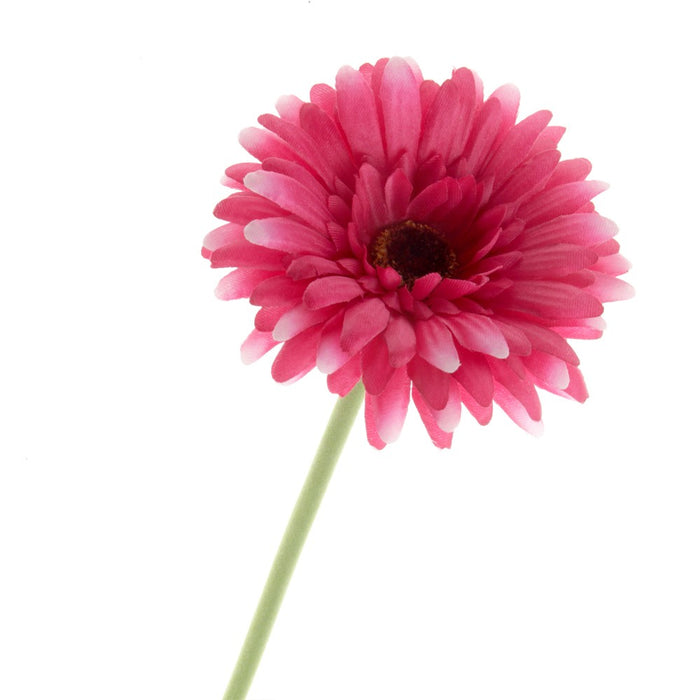 Single Gerbera - Cerise (60cm long)