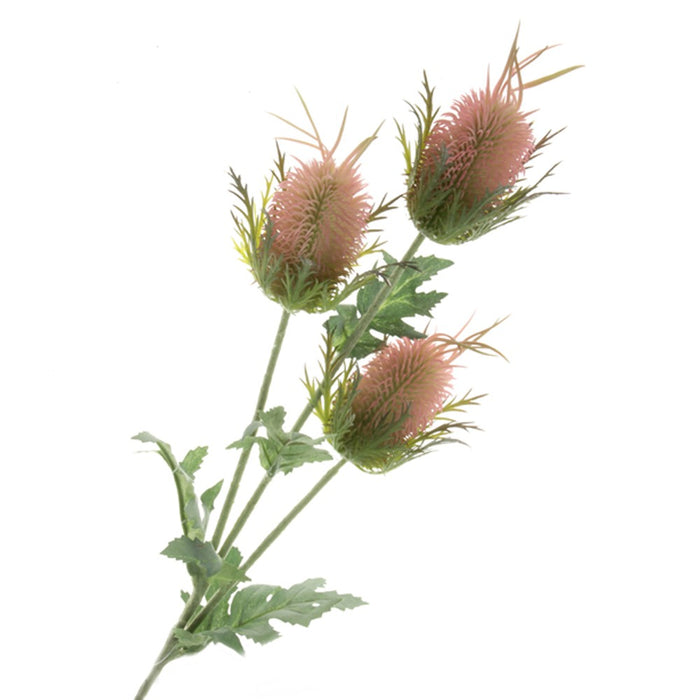 Eryngium Spray - Green/Pink (3 heads, 67cm long)