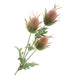 Eryngium Spray - Green/Pink (3 heads, 67cm long)