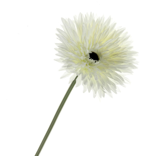 Double Gerbera - White (76cm long)