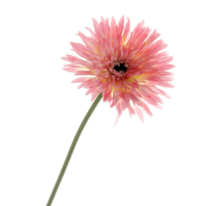 Double Gerbera - Pink (76cm long)