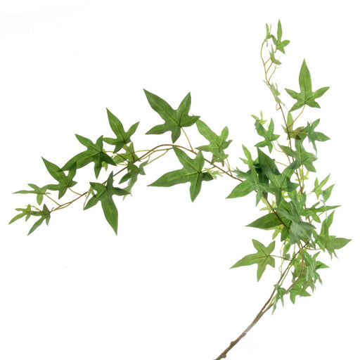 Needle Ivy Trail - Green (94cm long)