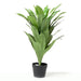 Real Touch Potted Dracaena Tree - Natural (43 leaves, 80cm long)