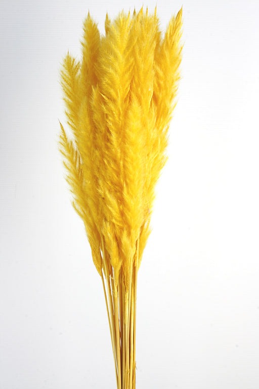 Pluma Decorativa - Yellow (50/60cm long, approx. 20pcs per pk)