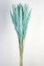 Pluma Decorativa - Turquoise (50/60cm long, approx. 20pcs per pk)