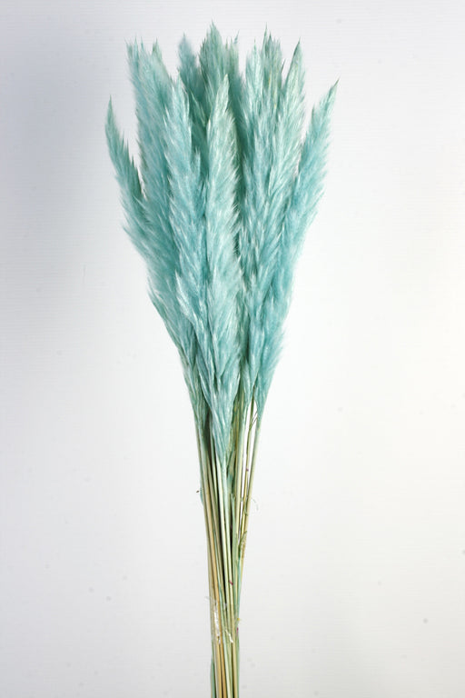 Pluma Decorativa - Turquoise (50/60cm long, approx. 20pcs per pk)