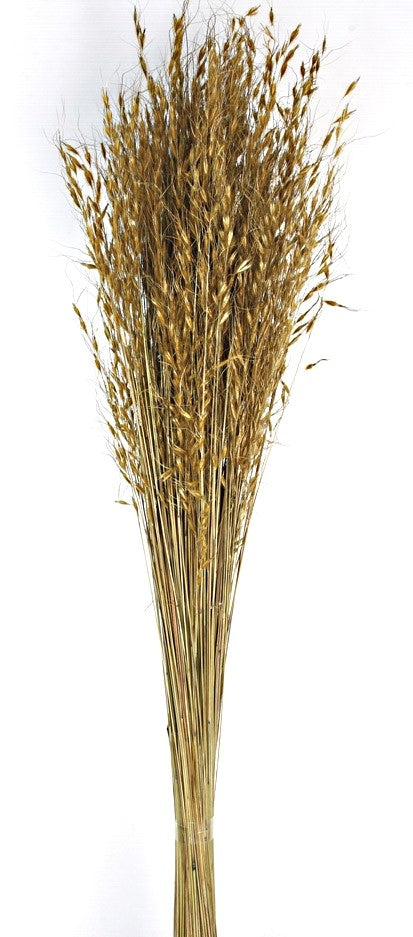 Princess Grass - Natural (100cm long)