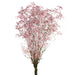 Preserved Gypsophila - Dusty Pink (100g per pack, 60cm long)