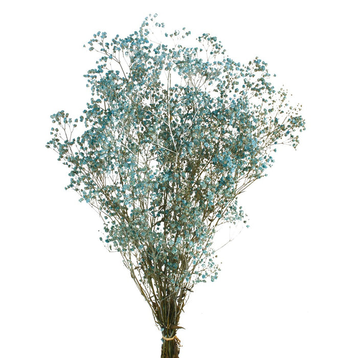 Preserved Gypsophila - Dusty Blue (100g per pack, 60cm long)