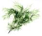 Willow Branch - Green (120cm long)