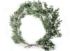 Eucalyptus Wedding Moon Gate - Green (2.3m tall)