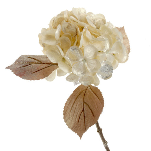 Glittered Single Hydrangea - Cream (45cm long, 18cm diameter)