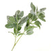 Snowy Lambs Ear Spray - Green (70cm long)