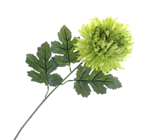 Chrysanthemum Bloom - Lime Green (66cm long)