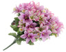 Alstromeria Bouquet - Purple Mix (16 heads)