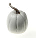 Small Artificial Valenciano Pumpkin - White (17cm x 25cm)