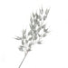 Metallic Barley Husk Spray - Silver (40cm long)