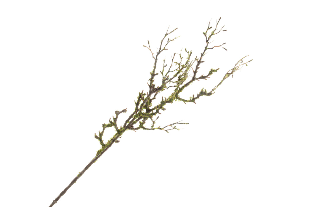 Mossed Willow Spray - Natural (90cm long)