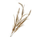 Artifcial Wheat Spray - Brown (78cm long, 3 heads)