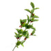 Real Touch Holly Spray - Green (50cm long)