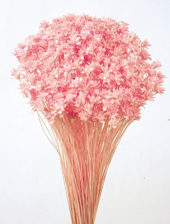 Hill Flower - Pink (80cm long, 200g per pk)