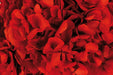 Preserved Hydrangeas - Red (approx. 35cm long)