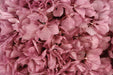 Preserved Hydrangeas - Lilac (approx. 35cm long)