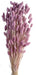 Phalaris - Lilac (80cms long, 150g per pk)