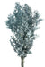 Preserved Ruscus - Blue/Grey (70-80cm long)